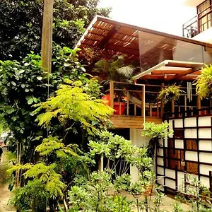 Casa Kiwi Auberge de jeunesse